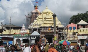 image search 1747817036434