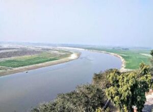 गंगा किनारे की वनस्पति 