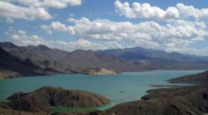 गंगा किनारे की वनस्पति 
