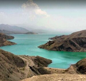 गंगा किनारे की वनस्पति 
