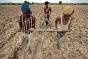 भारत में किसान क्यों कर रहे आत्महत्या ?