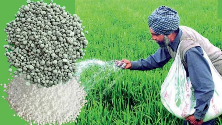 भारत में घटती उर्वरकता