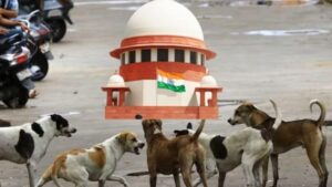 दिल्ली एनसीआर में आवारा कुत्तों को भेजा जाएगा शेल्टर होम। 
